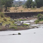  The Serengeti, TZ